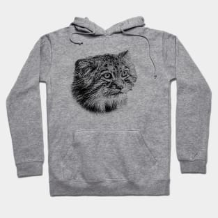 Manul-Pallas'cat Hoodie